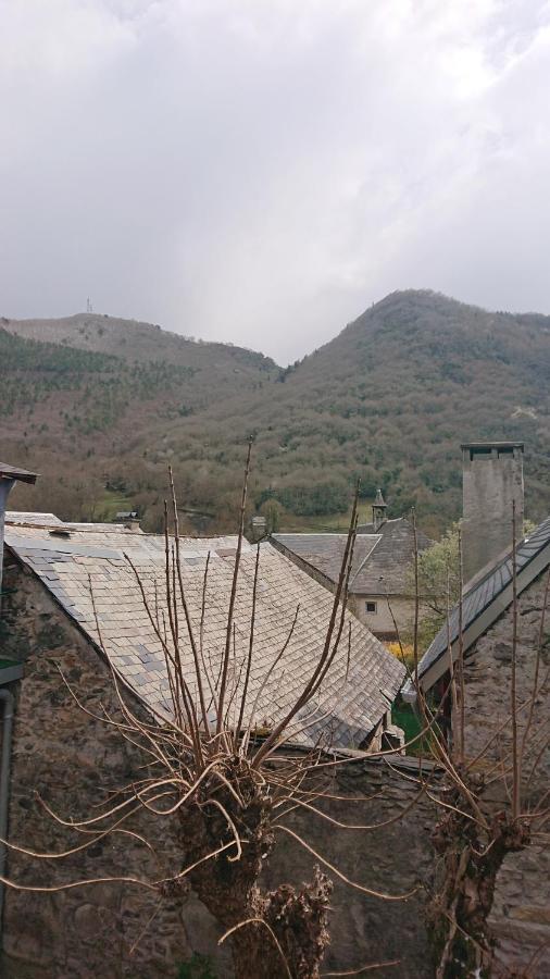 Appartement Dans Ancienne Maison Pyreneenne. Cadéac Екстериор снимка